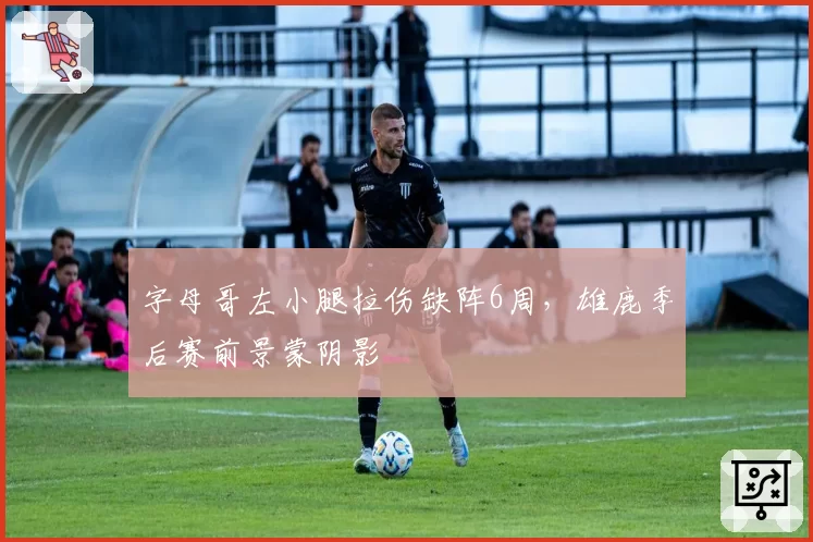 字母哥左小腿拉伤缺阵6周,雄鹿季后赛前景蒙阴影