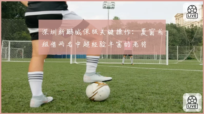深圳新鹏城保级关键操作:夏窗或租借两名中超经验丰富的老将