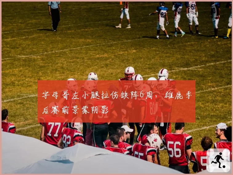 字母哥左小腿拉伤缺阵6周,雄鹿季后赛前景蒙阴影