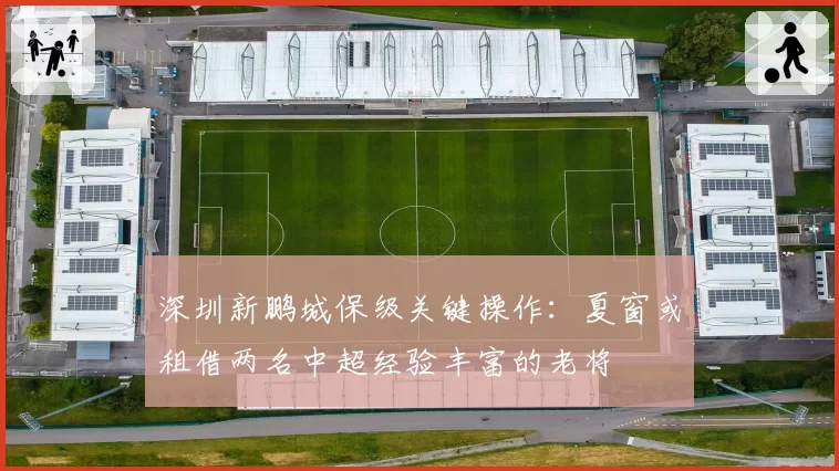 深圳新鹏城保级关键操作：夏窗或租借两名中超经验丰富的老将